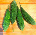 INDIAN KARELA ( BITTER GOURD )