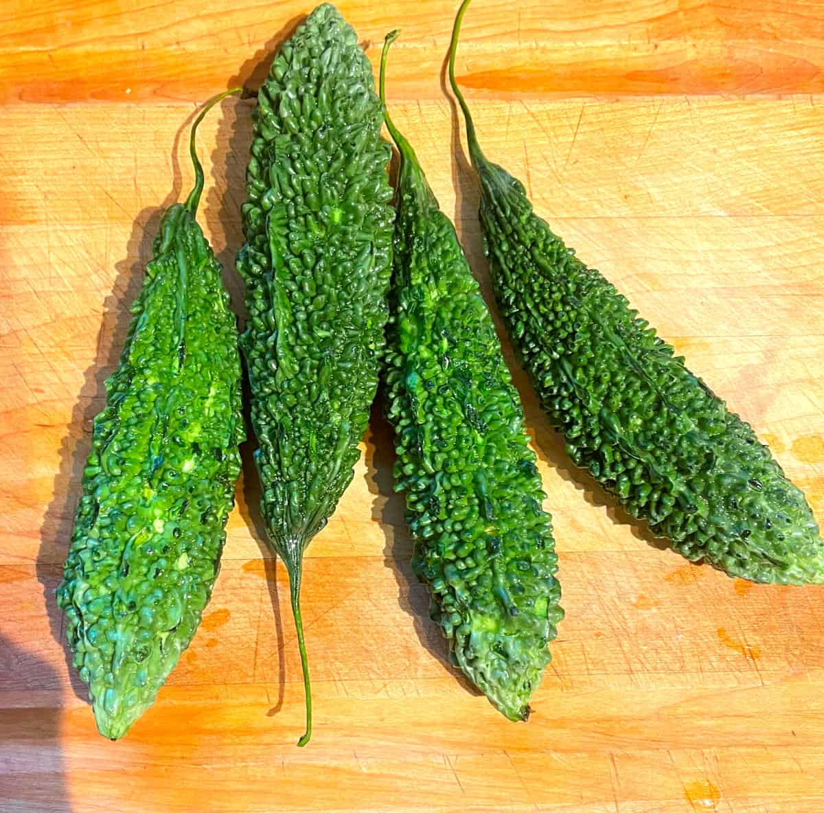 INDIAN KARELA ( BITTER GOURD )