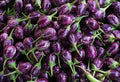 INDIAN SMALL BRINJAL 1kg