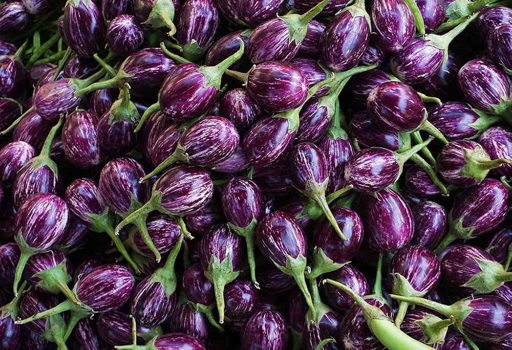 INDIAN SMALL BRINJAL 1kg