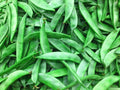 INDIAN PAPDI ( FLAT BEANS )